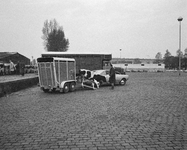 850460 Afbeelding van het transport van een kalf met een aanhanger, op het parkeerterrein bij de Veemarkt (Croeselaan) ...